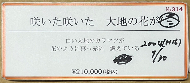 金井英明「咲いた咲いた大地の花が(冬)」アクリル画・15号 添付資料