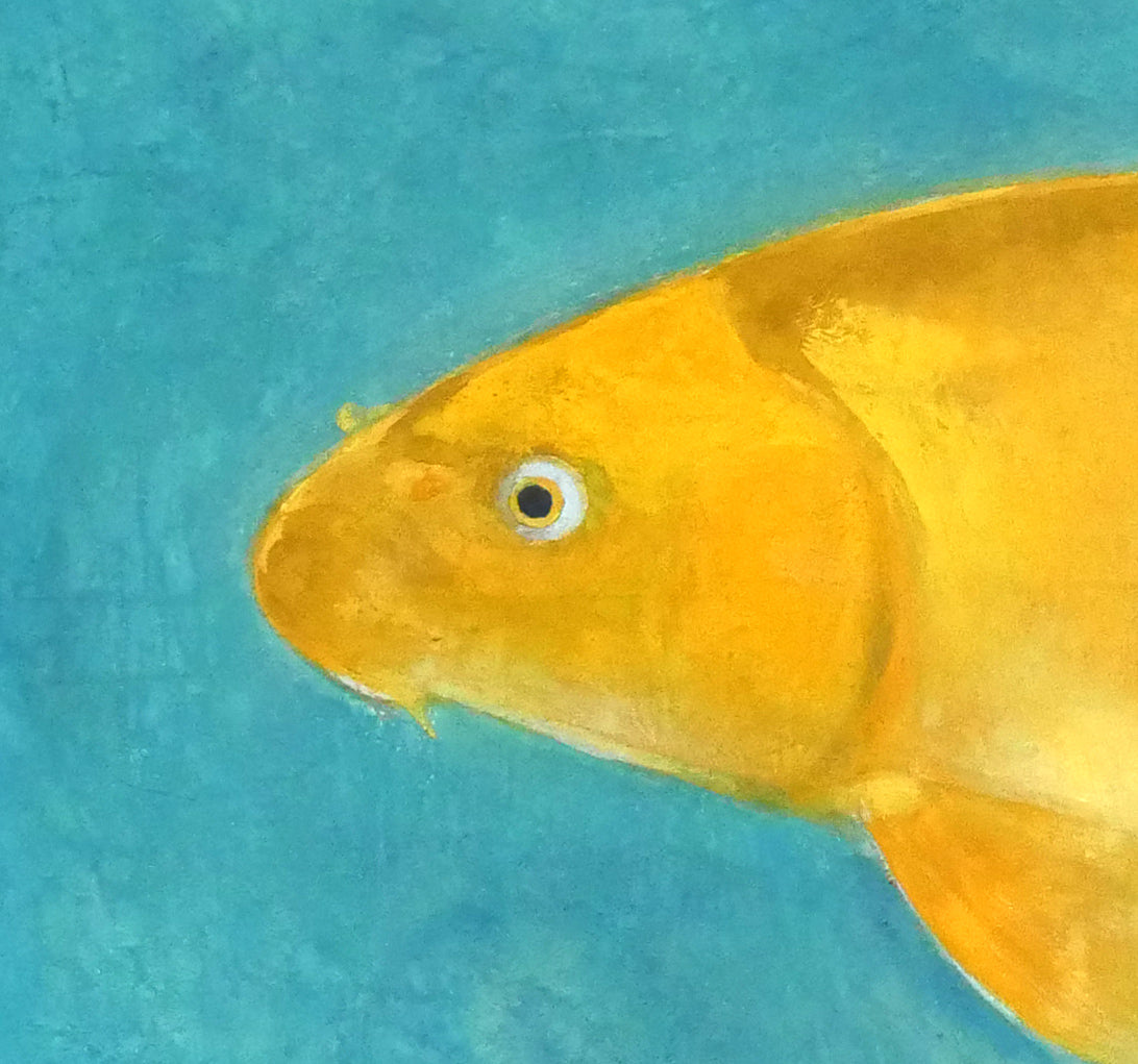 加藤栄三「鯉」日本画・10号 拡大画像5