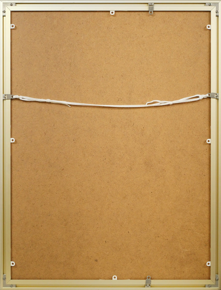 河野薫「花(C)LITTLE FLORA」木版画 額縁裏側画像