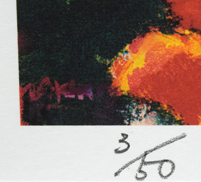 河島真規子「緑の風」版画 限定番号(ed,3/50)