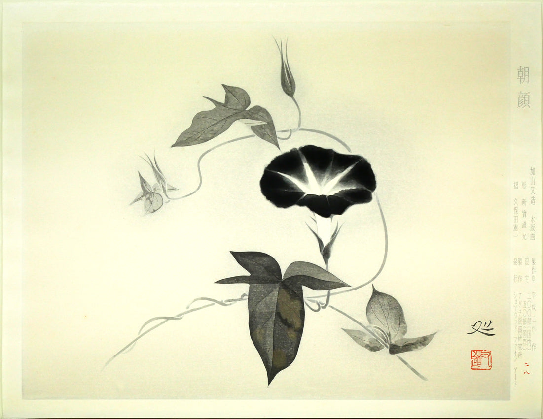 加山又造「朝顔」木版画 作品シート全体画像