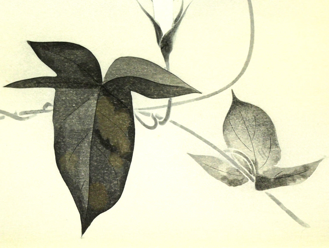 加山又造「朝顔」木版画 拡大画像2