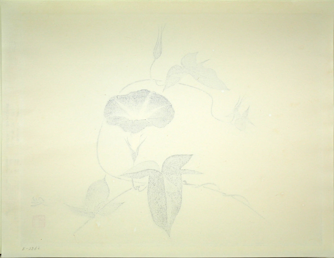 加山又造「朝顔」木版画 作品シート裏側全体画像