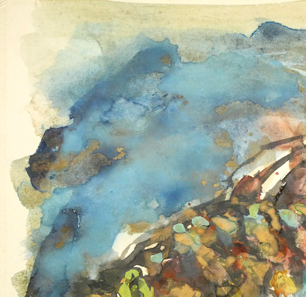 木田金次郎「魚(そい)」肉筆彩色画・色紙 拡大画像1