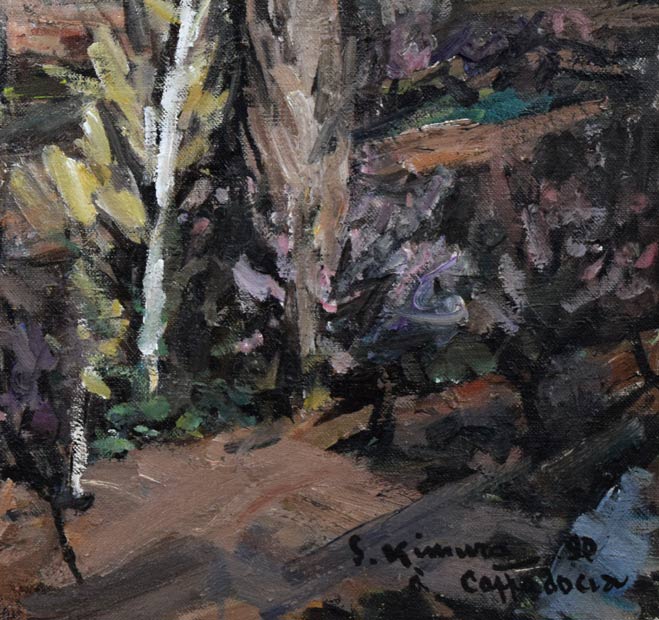 木村捷司「カッパドキアの村(トルコ)」油絵・P20号 拡大画像4