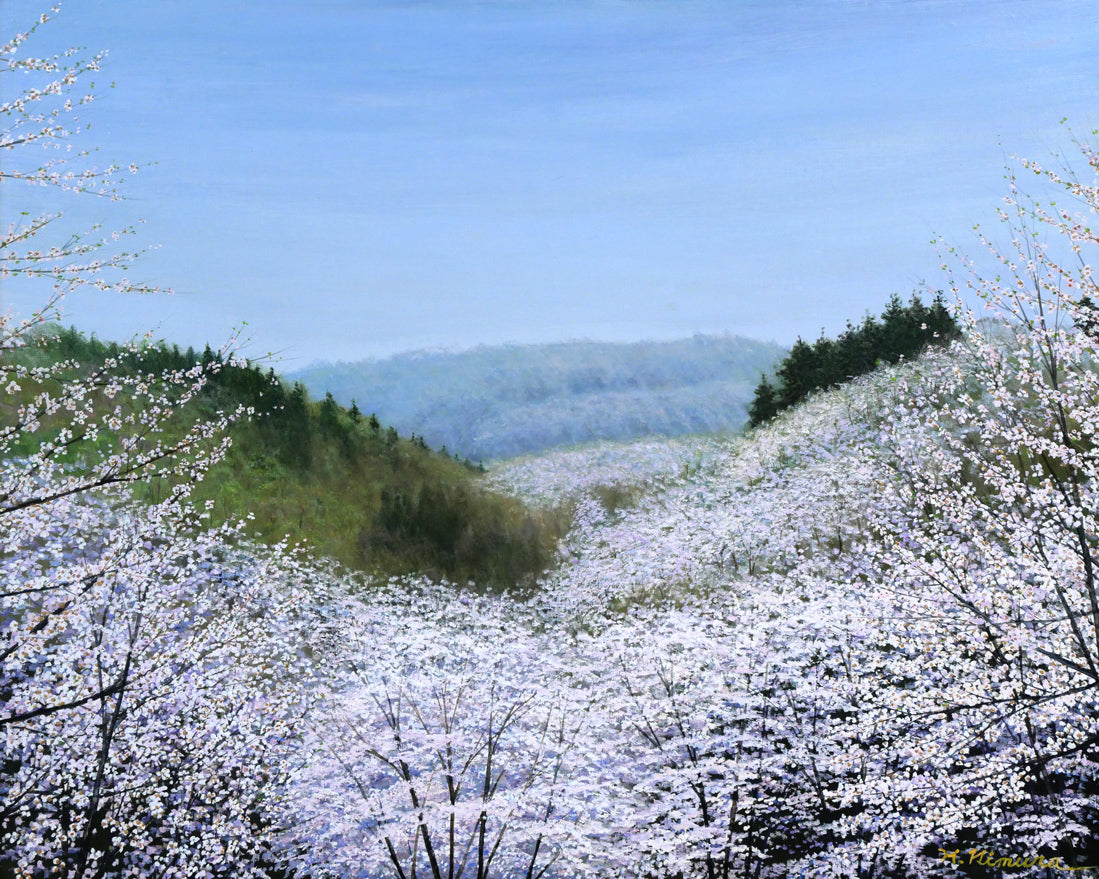 木村秀夫「桜の咲く丘（八王子市滝山城址公園）」油絵・F30号　作品全体拡大画像