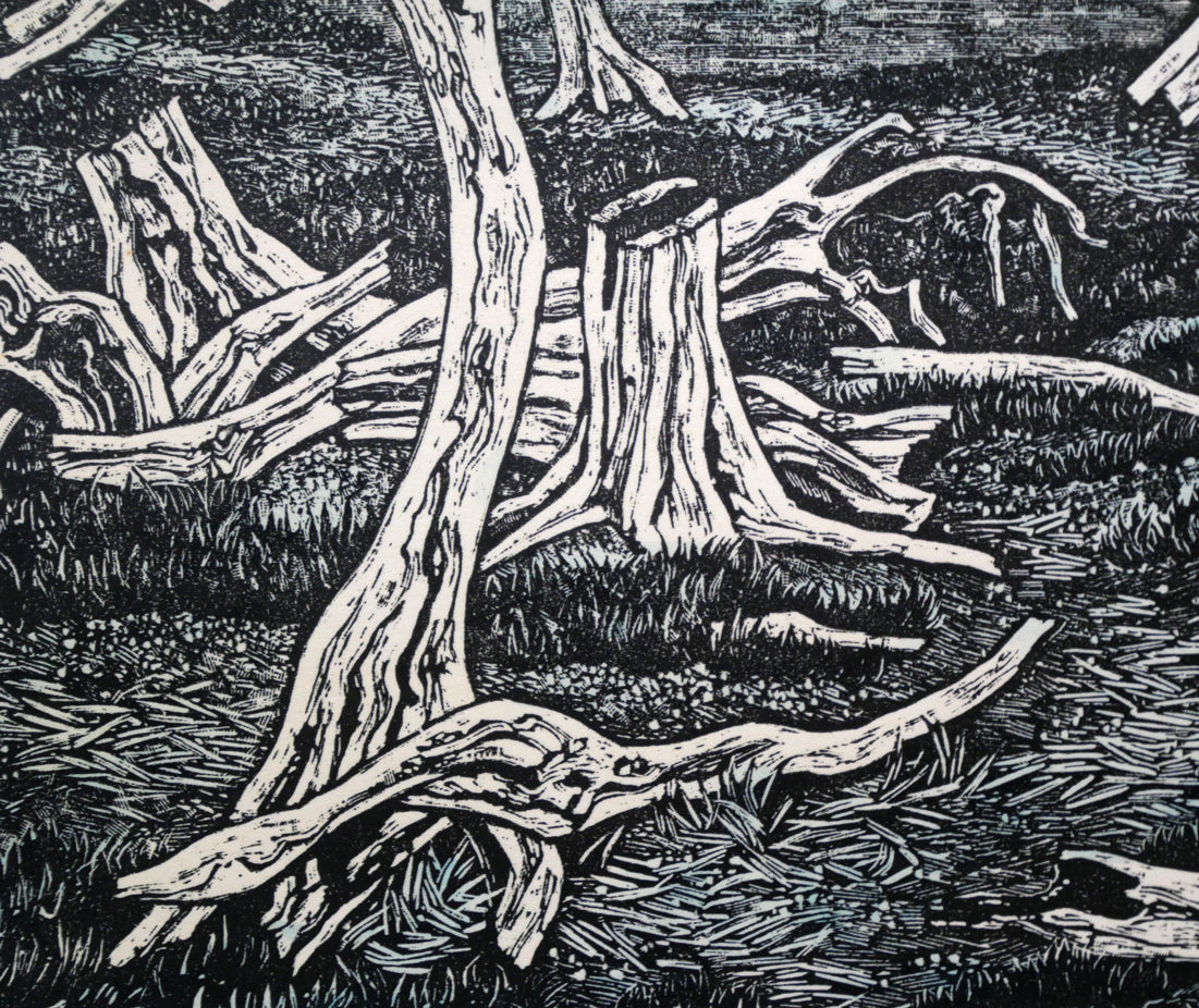 北岡文雄「北辺の風景トドワラ」貴重な木口木版画 拡大画像3