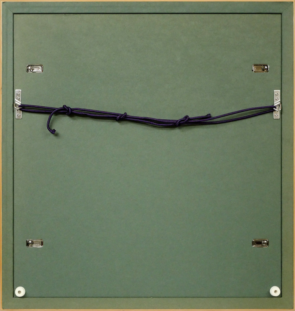 小林古径「草花(共箱)」絹本に彩色 額縁裏側画像