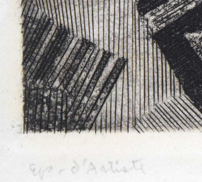 駒井哲郎「芽生え」アクアチント・ビュラン(銅版画) 限定番号(ed,E.A=作家保存版)拡大画像