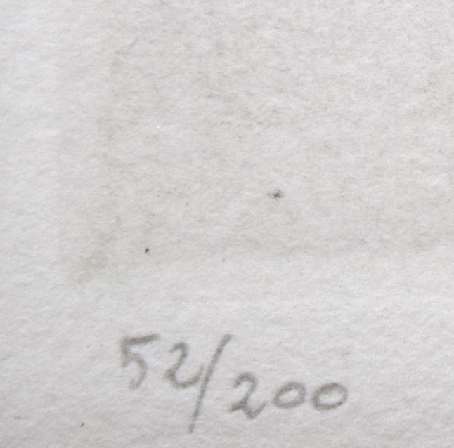 駒井哲郎「二樹」エッチング(銅版画) 限定番号(ed,52/200)拡大画像