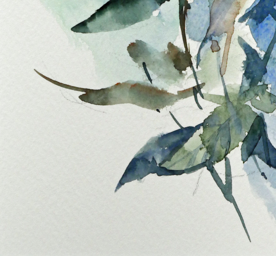 国井しゅうめい「白いバラ」水彩画(21×19cm) 拡大画像3