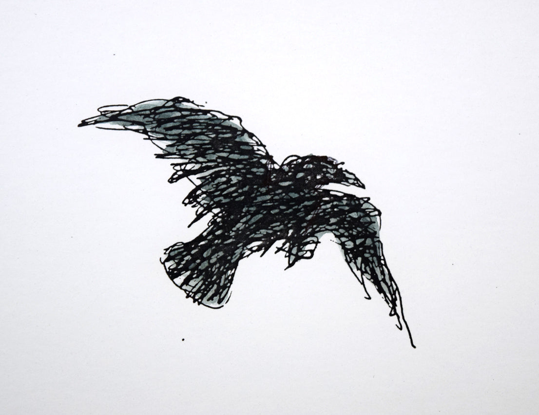 国松登「鳥の図」水彩画 拡大画像1