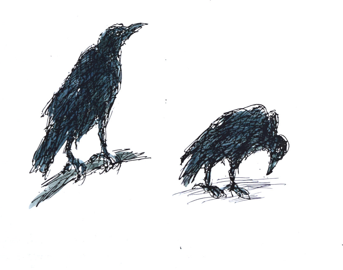 国松登「鳥の図」水彩画 拡大画像3