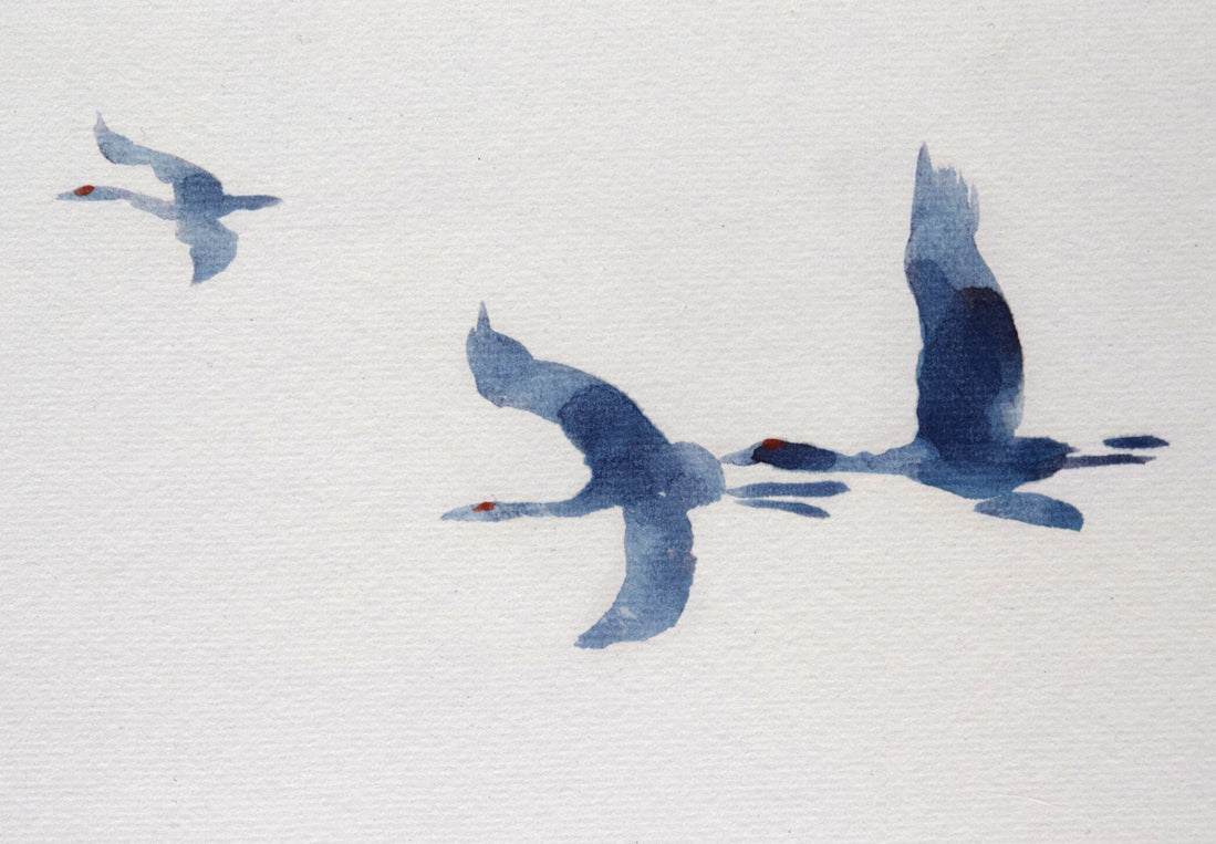栗谷川健一「丹頂飛ぶ」水彩画・色紙 拡大画像1