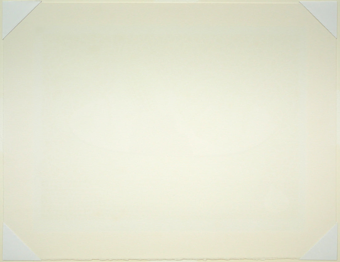 草間彌生「かぼちゃと果物」シルクスクリーン版画 作品シート裏側画像