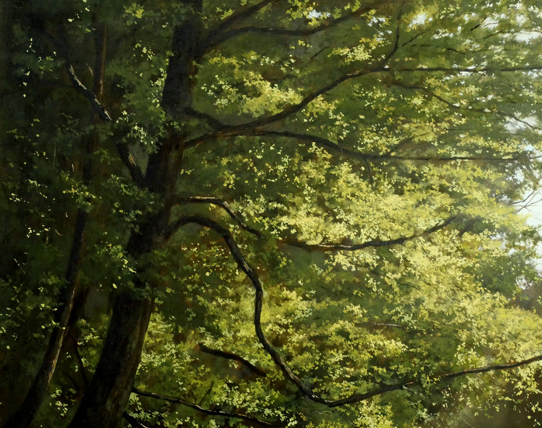 身野友之「新緑の五十鈴川(伊勢神宮)」油絵・F20号 拡大画像1