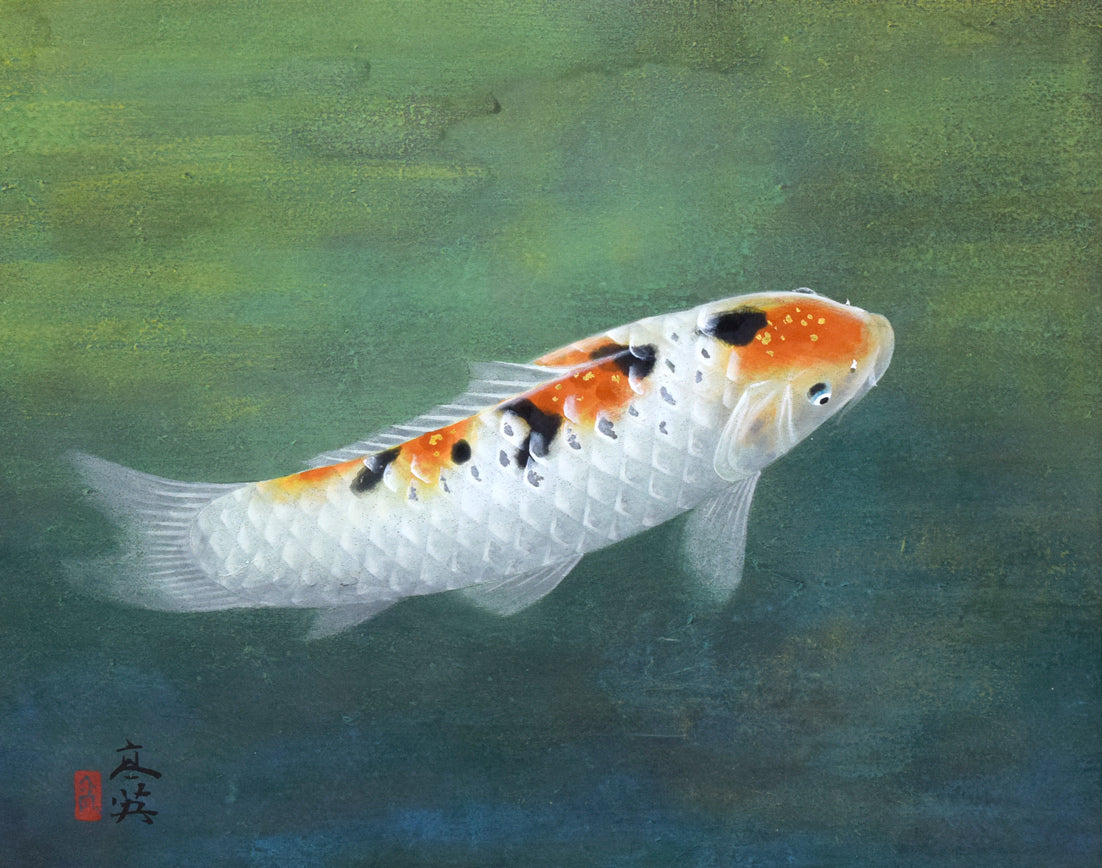 三輪高英「鯉」日本画・6号 作品全体拡大画像