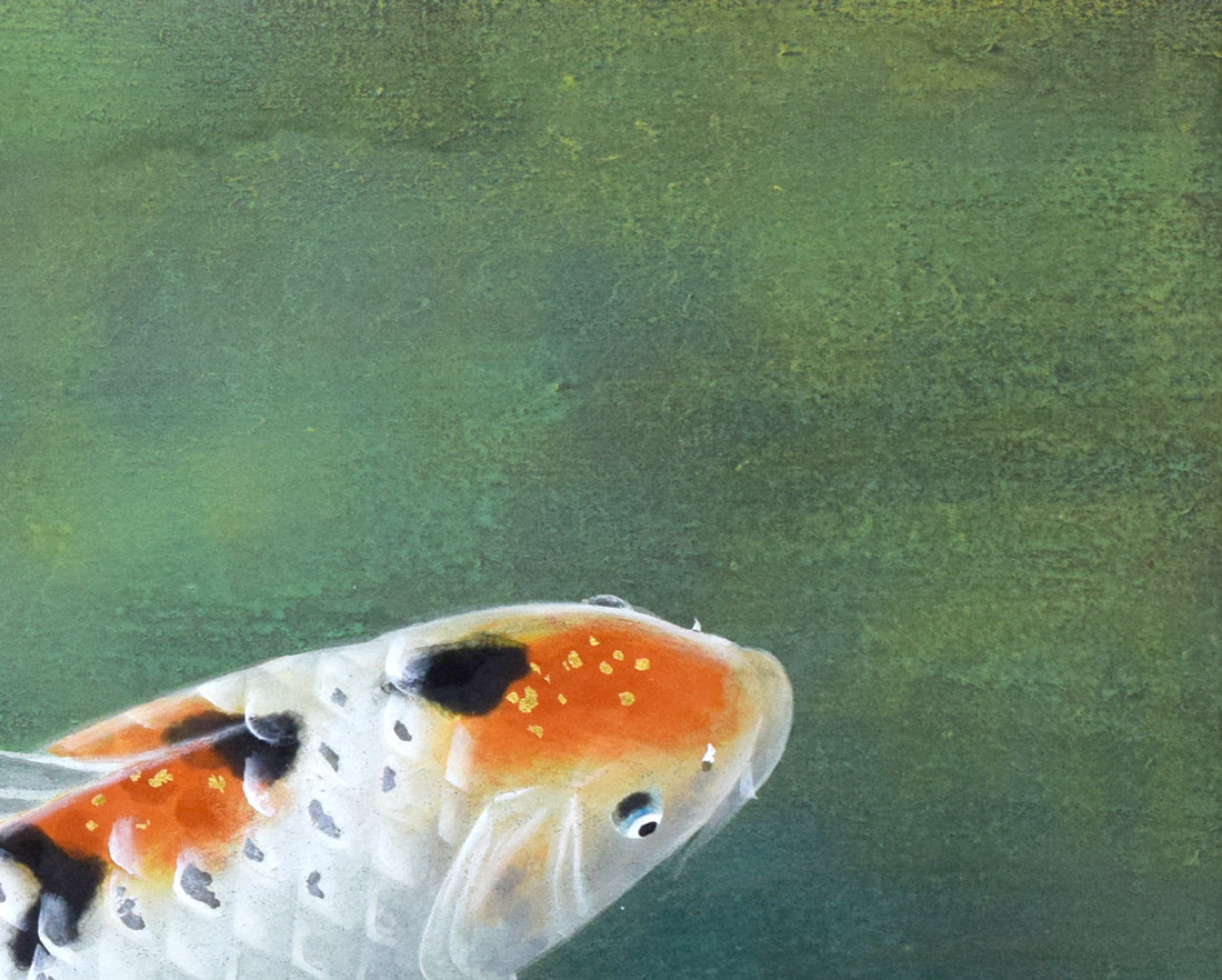 三輪高英「鯉」日本画・6号 拡大画像4