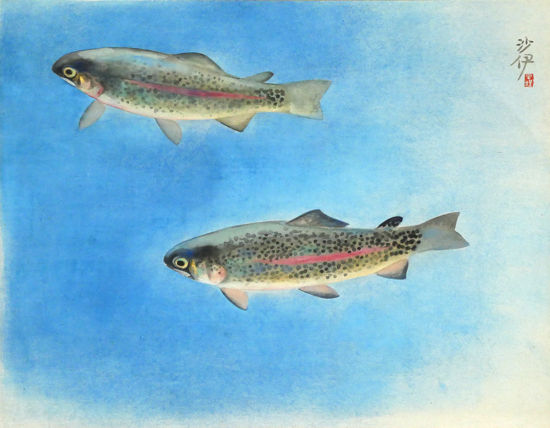 森田沙伊「虹鱒」日本画彩色・紙本・太巻・共箱(二重箱) 作品全体画像