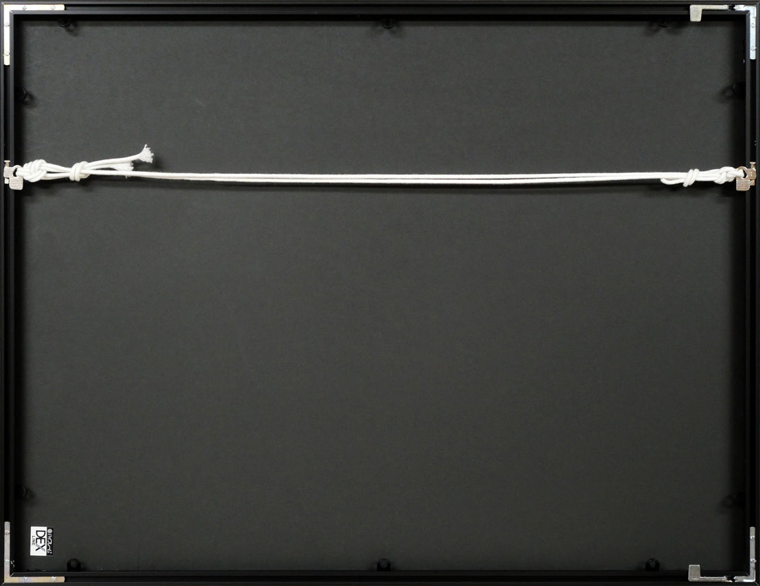 中野北溟「赤とんぼ」肉筆書額装 額縁裏側画像