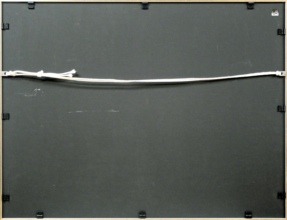 中谷有逸「碑(サクラの稲妻)」凹凸併用版・版画・限定5部 額縁裏側画像