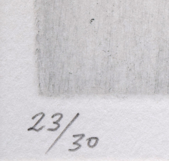 難波田龍起「生物苑」銅版画 限定番号(ed,23/30)