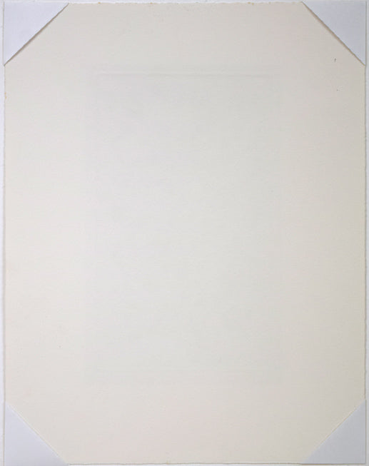 難波田龍起「生物苑」銅版画 作品シート裏側画像