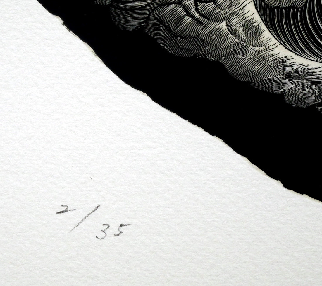 二階武宏「群飛」木口木版画 限定番号(ed,2/35)