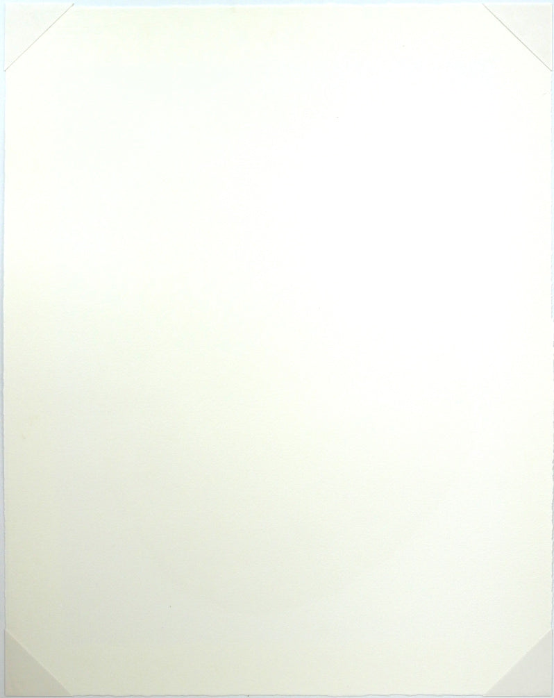 二階武宏「群飛」木口木版画 作品シート裏側画像