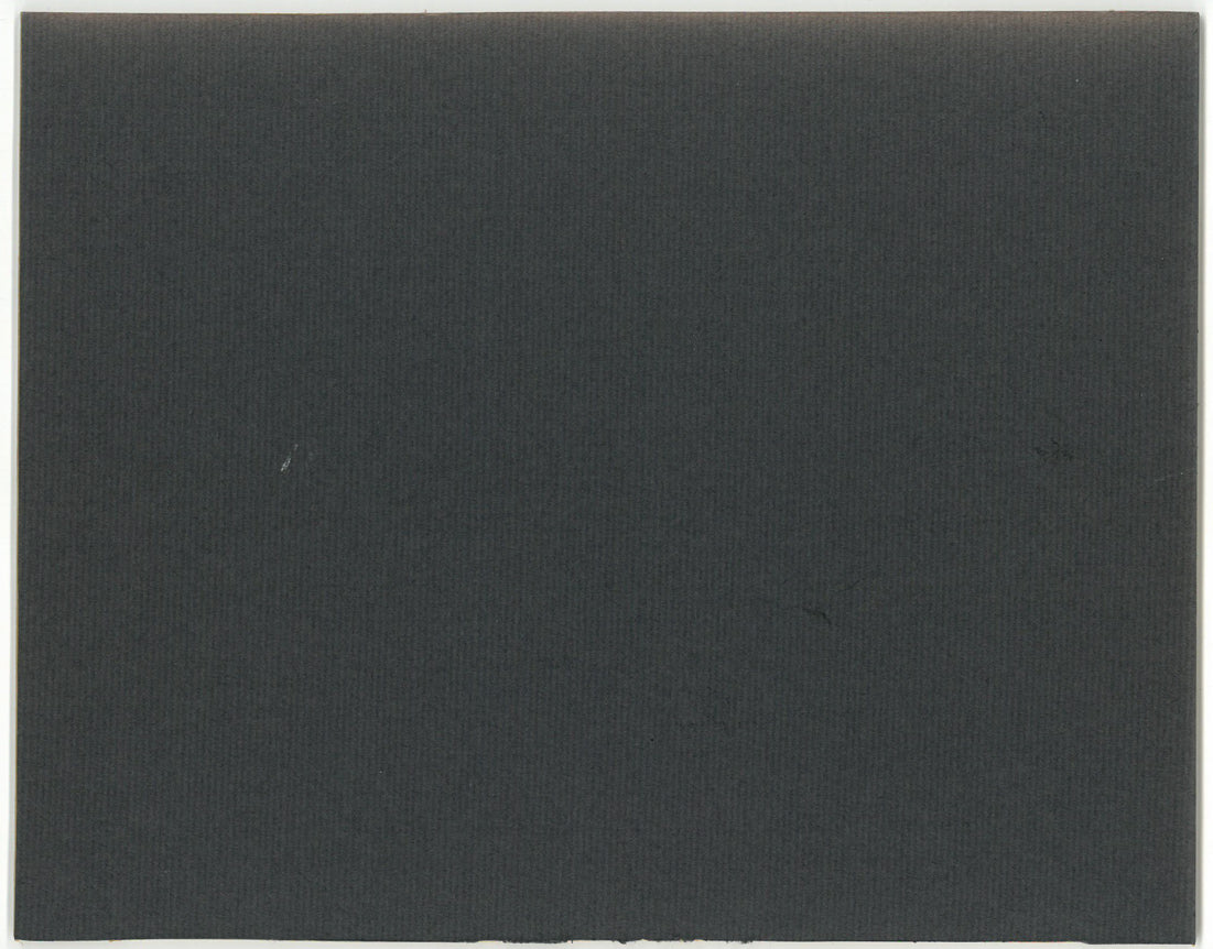 おおば比呂司「寅(大入)」水彩画・F3号 作品裏側画像