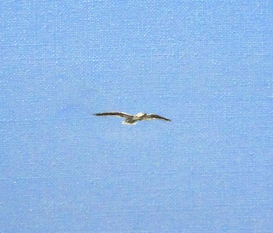 岡野浩二「石狩燈台」油絵・P4号 拡大画像3