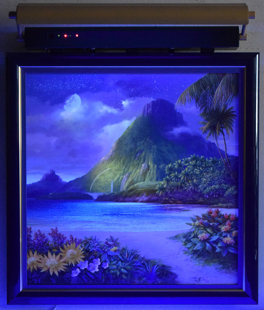 大下亮「レインボー イン ザ ダーク」アールグラージュ作品 照明セット画像2