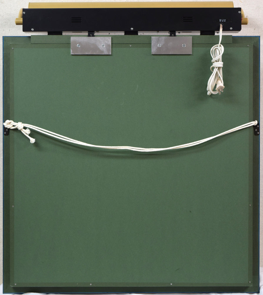 大下亮「レインボー イン ザ ダーク」アールグラージュ作品 額縁裏側画像