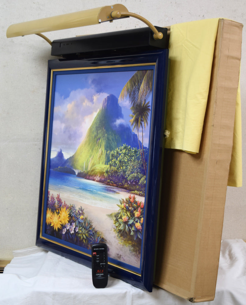 大下亮「レインボー イン ザ ダーク」アールグラージュ作品 付属品画像(リモコン、黄袋、箱)