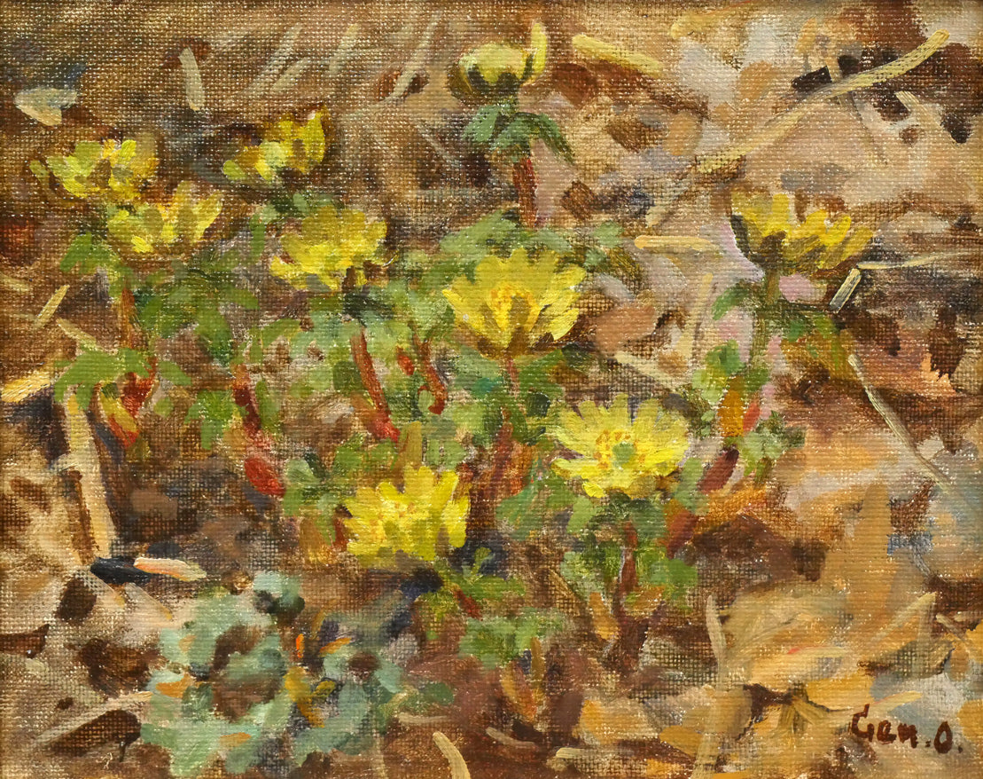 大月源二「福寿草」油絵・F3号 作品全体画像