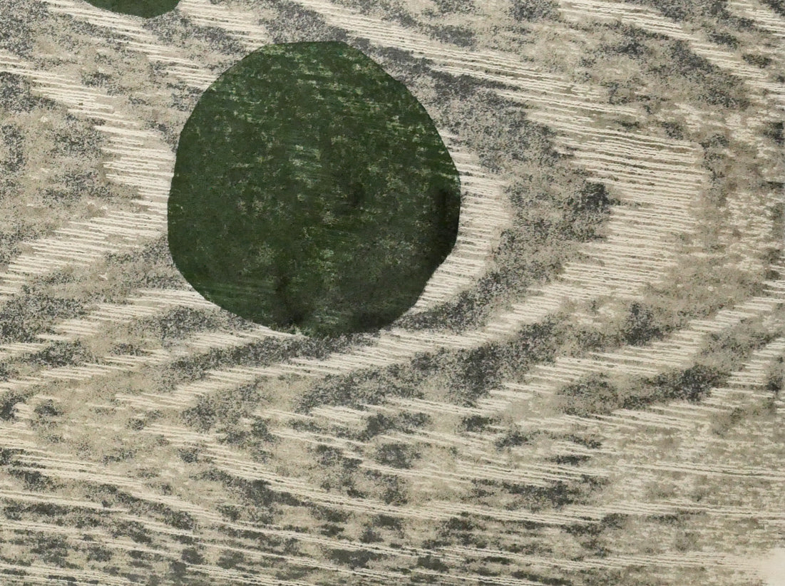 尾崎志郎「花とまりも」木版画 拡大画像4