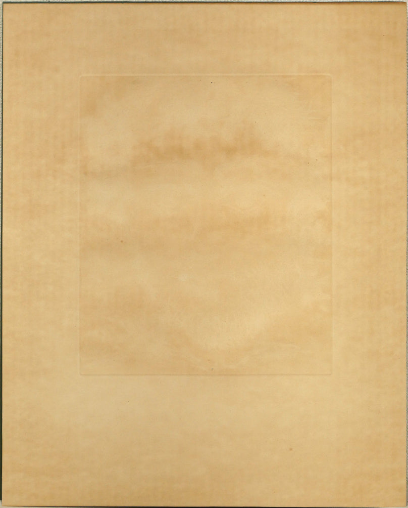 パブロ ピカソ(Pablo PICASSO)「牧神の顔(Tete de Faune)」アクアチント(銅版画) 作品シート裏側全体画像