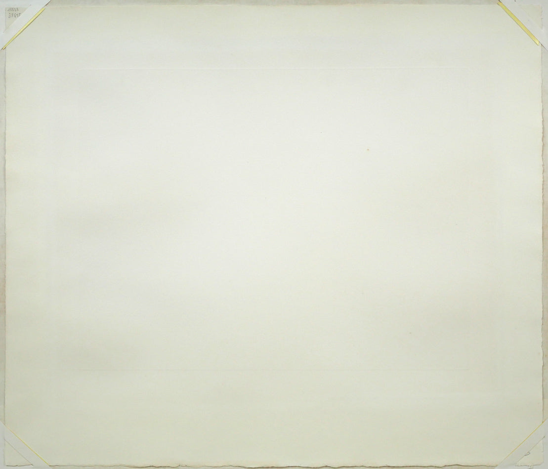 パブロ ピカソ(Pablo PICASSO)「156シリーズ No.43」エッチング(銅版画) 作品裏側画像