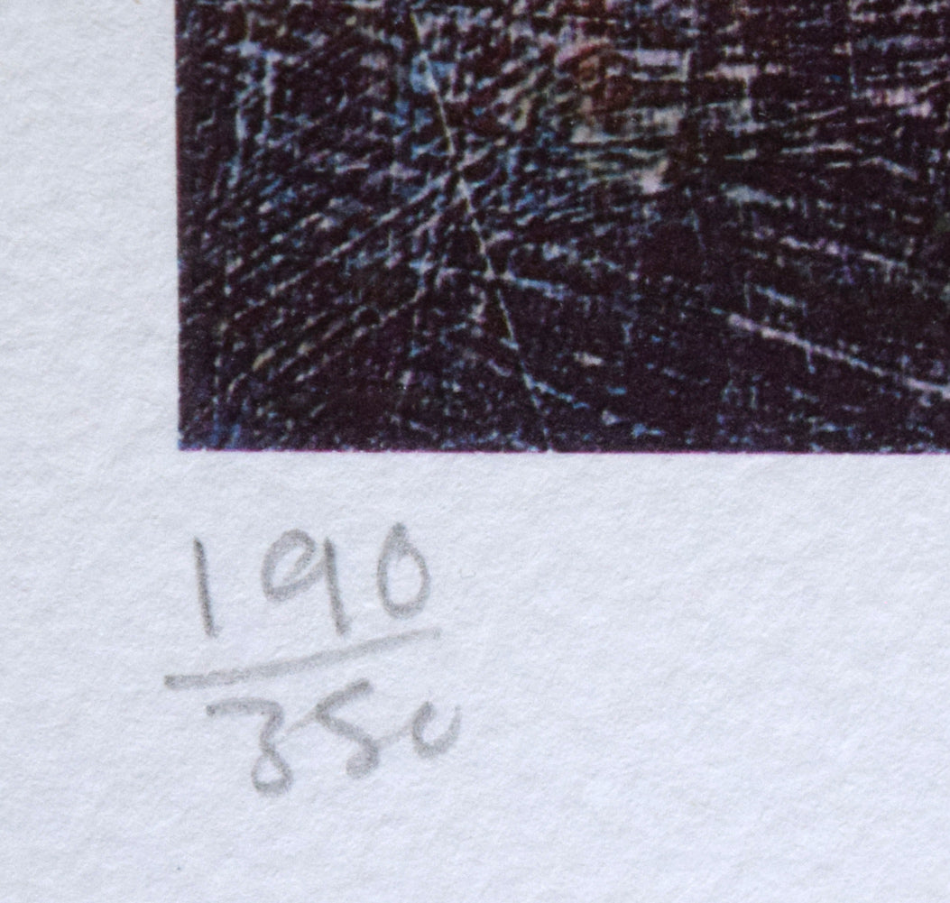 ポーラ・マッカードル(Paula MCARDLE)「Romantic Evening」シルクスクリーン版画 限定番号(ed,190/350)