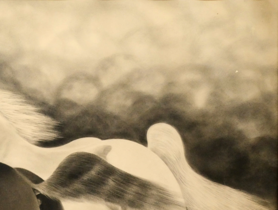 露山(畠中清喜)「二頭の馬」木炭画・水墨・20号大 拡大画像2