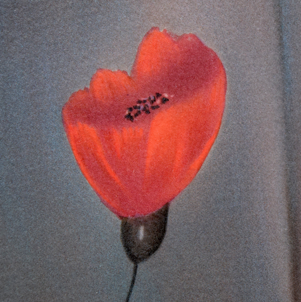 斎藤真一「赤いスカーフの女」リトグラフ 拡大画像5