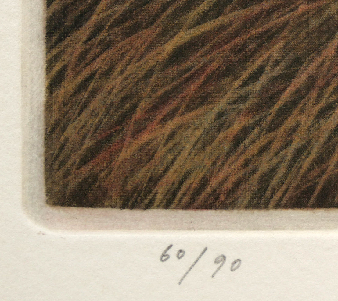 斎藤真一「ラ・マンチャの道」銅版画 限定番号(ed,60/90)