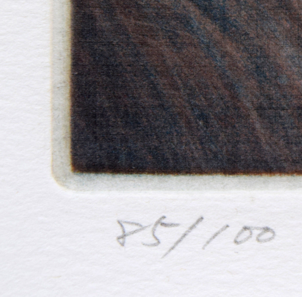 斎藤真一「バイオリン弾き」銅版画 限定番号(ed,85/100)