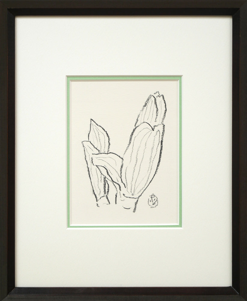 坂本直行「ばんけい草」黒コンテ画(17.5×12.8cm)