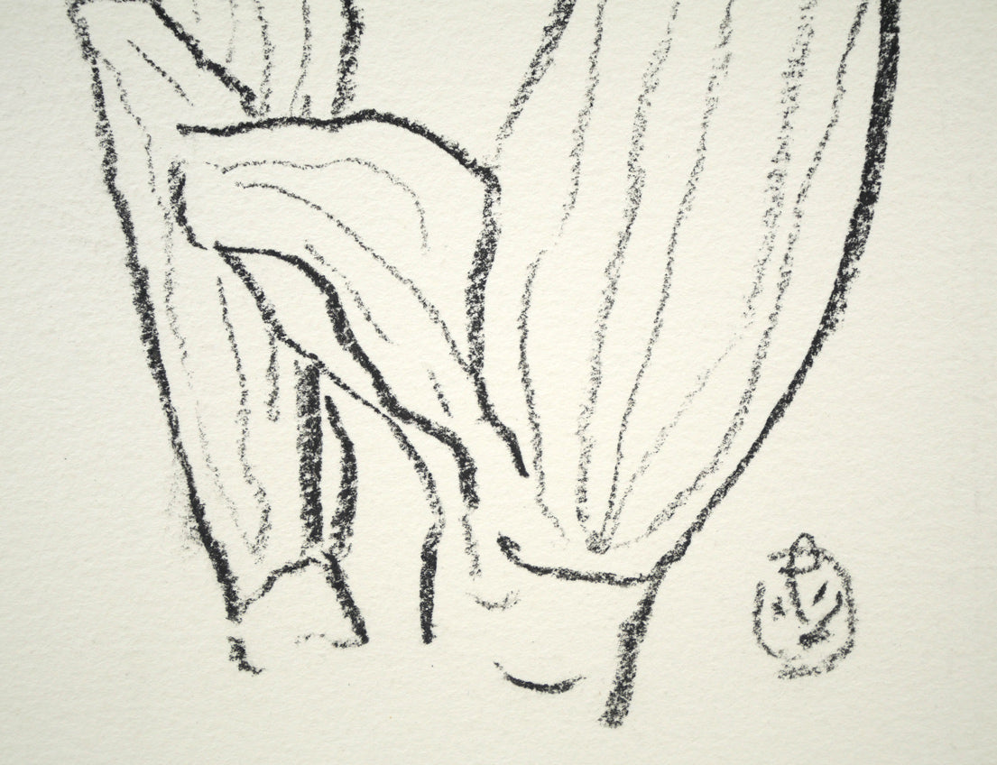 坂本直行「ばんけい草」黒コンテ画(17.5×12.8cm) 拡大画像2