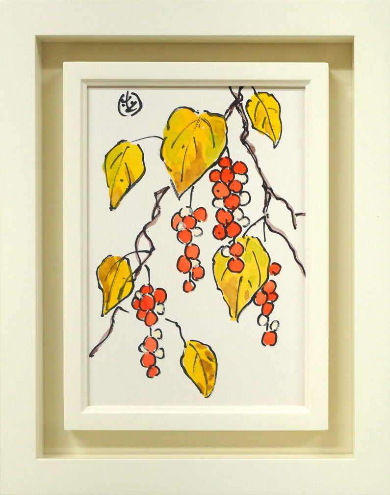 坂本直行「朝鮮五味子」水彩画・SM