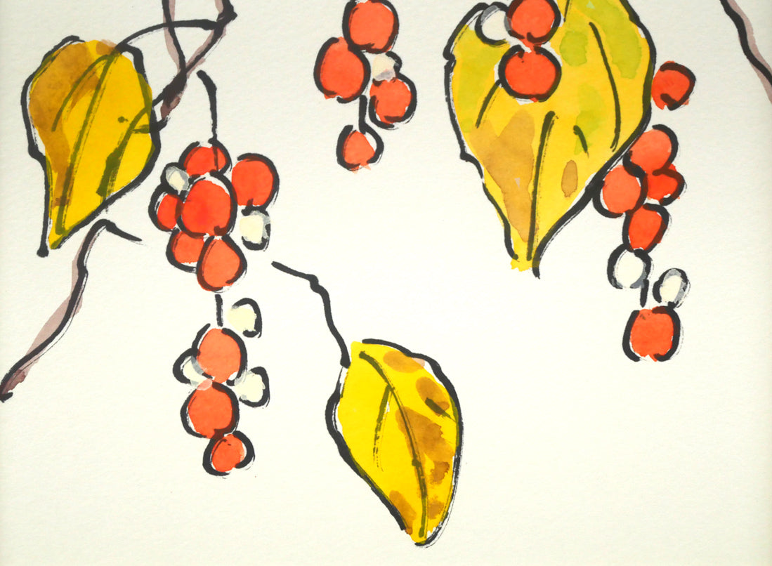 坂本直行「朝鮮五味子」水彩画・SM 拡大画像2