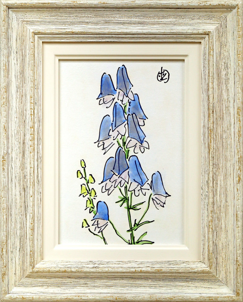 坂本直行「えぞとりかぶと」水彩画・SM