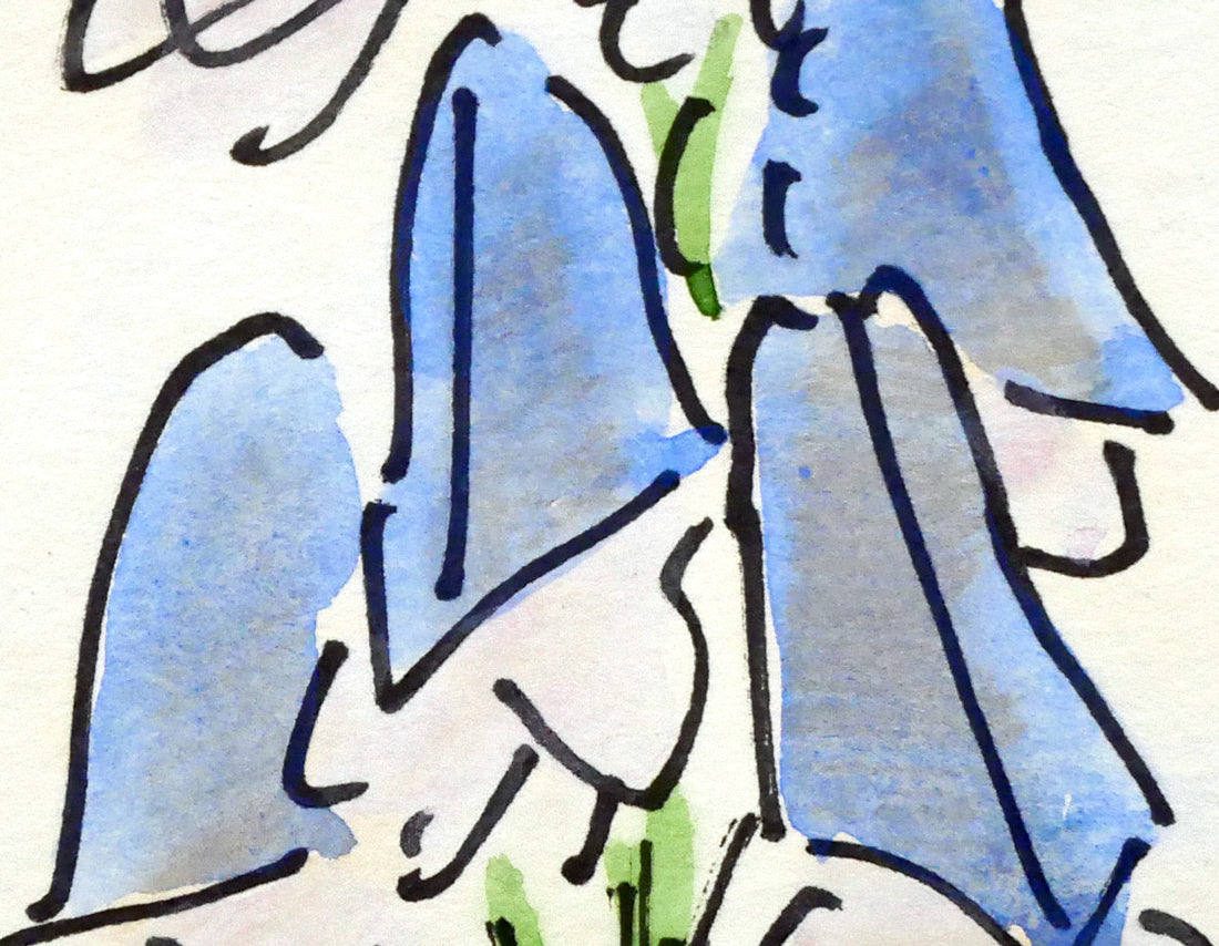 坂本直行「えぞとりかぶと」水彩画・SM 拡大画像4