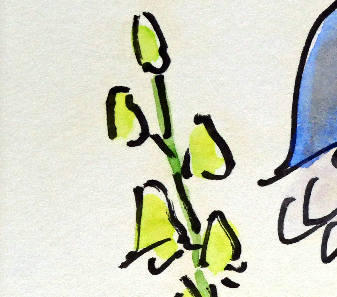 坂本直行「えぞとりかぶと」水彩画・SM 拡大画像3